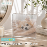 愛犬 ガラスブロック チワワ コーギー ギフト ディスプレイ ペットロス 贈り物 愛犬家 記念日 ペットグッズ おしゃれ マルチーズ 犬 ペット フォトフレーム 虹の橋 置き物 写真立て メモリアルプレート うちの子記念日 オリジナル ペット写真 オーダーメイド メモリアル メモリアルグッズ うちの子 ペット仏壇 記念 誕生日 サプライズ プレゼント 名入れ クリスタル 記念品 写真【c01】