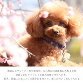 ハワイアンジュエリー シルバー ペアペンダントトップ 2個セット 刻印 無料 誕生石入れ可 オーバル 楕円 プレート シルバー925 ネックレス チェーン別売 ペンダントヘッド カップル 夫婦 プレゼント ハロウィン 【品番：SP2917P】