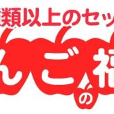 青森りんご 9kg 訳あり 送料無料 福袋 北海道産 青森産 リンゴ ※沖縄は送料別途加算 到着日指定不可