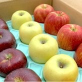 長野県産りんご3兄弟セット シナノスイート 秋映 シナノゴールド ご贈答 果物 フルーツ お取り寄せ 産地直送 【送料無料(一部地域除く)】
