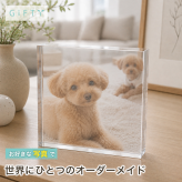 トイプードル ガラスブロック 愛犬 チワワ うちの子記念日 ディスプレイ うちの子 オリジナル 犬 贈り物 クリスタル メモリアルグッズ おしゃれ 名入れ メモリアルプレート 誕生日 ダックスフンド ペットメモリアル ペットグッズ フォトフレーム 写真 プレゼント フォトキューブ 高級 飼い主 ペット 記念日 ペット仏壇 ペット写真 記念品 愛犬家 写真立て ペットロス 置き物 ギフト【c01】