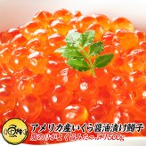 いくら 醤油漬け 500g 鱒子 アメリカ産 【ます子/イクラ/鱒いくら/いくら醤油漬】【お取り寄せ/グルメ/海鮮/ギフト/食べ物/贈答/プレゼント】