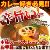 富良野市場 ゴロッと玉ねぎと骨付きチキンのスープカレー 2袋 スープカレー 惣菜 温めるだけ レンチン ご飯のお供 おかず ポスト投函便