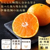 みかん 超特選 有田みかん 送料無料 小玉 高級 糖度12度以上 光センサー選果 船林 ふなりん S M 22～24個 約1.5kg 和歌山 手詰め ご当地 お贈答 結婚 出産 内祝い 誕生日プレゼント ギフト 誕生日 結婚祝い 出産祝い 内祝い ギフト