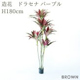 観葉植物 造花 ドラセナ パープル BROWN 全高約180cm 大型 フェイクグリーン 高級 本物そっくり リアル おしゃれ 赤 紫 インテリア 人工観葉植物 アーティフィシャルグリーン モダン オフィス 店舗 ホテル 開店祝い 室内 リビング 玄関 風水 フェイク