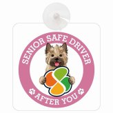 カーサイン 高齢者マーク SENIOR SAFE DRIVER ケアーンテリア 車内用 吸盤タイプ 収れん火災防止タイプ 肉球 日本製 車 ステッカー