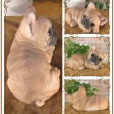 犬　置物 リアル　寝そべり　フレンチブルドッグ　いぬ　動物オブジェ　ガーデン　オーナメント　店舗　カウンター　装飾　オブジェ　インテリア　玄関先　庭　犬好きさん人気ギフト　動物人気ギフト　クリスマスプレゼント　お誕生日祝い　母の日人気　父の日人気　敬老の日人気