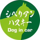 Dog in car ドッグインカー ステッカー カーステッカー シベリアンハスキー 毛筆書体 グリーン シール 煽り運転対策 カーサイン
