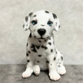 犬の置物 woobia ウービア お座りダルメシアン 子犬 リアル動物オーナメント 高さ12cm 青い瞳 イギリス職人手彩色 玄関 リビング 棚 インテリア 犬好き 誕生日 新築祝い 記念日 お祝い ギフト プレゼント かわいい