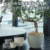 植木鉢 おしゃれ 大型 陶器 釉薬 丸型 ラウンド KONTON コントン アビス ソニア ミドル L M S XS 約16号 約12号 約9号 約6号 クリーム 灰 グレー 底穴あり 屋外 ベランダ 玄関 庭 テラス 観葉植物 多肉植物 シンボルツリー 北欧 モダン ナチュラル 大型プランター 寒冷地対応