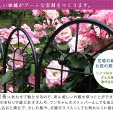 ガーデン エクステリア クラシックフェンス150 ロータイプ 2枚組 フェンス アイアン ガーデニング 枠 柵 仕切り 目隠し 境目 クラシカル アンティーク トレリス ベランダ つる 薔薇 バラ 朝顔 園芸 ラティス つるバラ 庭誘引 屋外 新生活