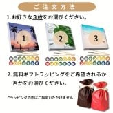 数字塗り絵 大人の塗り絵 ミニサイズ 選べる3点セット ナンバーペイント数字入り 塗り絵 脳トレ 趣味 おうち時間 絵画キット アート 癒し プレゼント 誕生日 母の日 父の日 敬老の日 【無料ラッピング】【選べるデザイン】【送料無料】