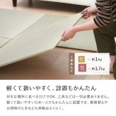 【同色9枚セット】 置き畳 四季 約65×65×1.5cm 9枚入 縁なし へりなし畳 フロア畳 ユニット畳 い草 カラフル 滑り止め付き