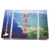 網走水産 紅鮭姿切身(1本・1.3~1.6kg) (APID-068) [お中元][お歳暮] ※送料無料(北海道・沖縄・離島への配送不可)