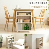 ラック 押入れ収納 奥行45cm 選べる幅3サイズ (19/25/38cm) IW-24 クローゼット収納 リビング収納 すき間収納 サニタリー収納 新生活
