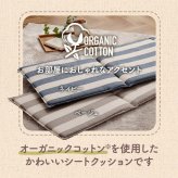 クッション フリーシート 車 日本製 オーガニックコットン 綿100% ボーダー 洗える 約43×130cm 新生活