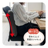 デスク チェア オフィス ワーク サポート クッション 腰 お尻 姿勢 お昼寝 セアテ 約40×40cm