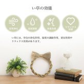 い草 リース 雑貨 飾り 消臭効果 リッラクス効果 アレンジ 約20cm丸