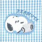 スヌーピー パスケース ブルー 定期入れ サガラワッペンチェック SNOOPY