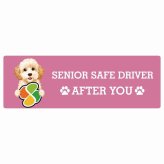 カーサイン 高齢者マーク SENIOR SAFE DRIVER ゴールデンドゥードル ステッカー シール 長方形 20x6.7cm 肉球 日本製 車