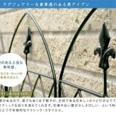 ガーデン エクステリア アプローチローフェンス 8枚組 送料無料 フェンス アイアン ガーデニング 枠 柵 仕切り 目隠し 境目 クラシカル アンティーク トレリス ベランダ つる 薔薇 バラ 朝顔 園芸 ラティス つるバラ 庭誘引 屋外