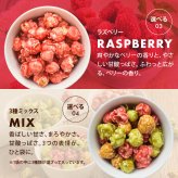 前田家 選べる 4種 フレーバーポップコーン キャラメル / 抹茶ミルク / ラズベリー / 3種ミックス 120g/280g/400g マッシュルーム型 お菓子 スイーツ おやつ 映画 送料無料 MAEDAYA