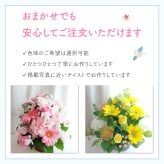 【ペットのお悔やみ】【 選べる5色】【Mサイズ】【クール便】【送料込み】フラワーアレンジメント おまかせ制作 最短翌日お届け  日時指定可 | ペット お供え 犬 猫 お悔やみ 虹の橋 ペット供養 お供え花 お悔やみ花 供花 四十九日 命日に贈るフラワーアレンジメント