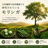 【モリンガ×抹茶】SAEMON's モリンガ抹茶プラス 200g スーパーフード モリンガ 粉末 国産抹茶 90種以上の栄養素 GABA ポリフェノール 食物繊維 美容 健康 朝食置き換え プロテイン スムージー ギフト