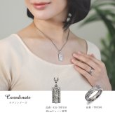 金属アレルギー対応 ペンダントトップ ハワイアンジュエリー 純チタン ペンダントトップ 刻印無料 誕生石 ダブルプレート Sサイズ　チェーン別売りステンレスより軽く肌に優しい メンズ レディース プレゼント 敬老の日 【品番：TIP310】