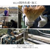 敷物 花ござ 国産 純国産 日本製 い草 モダン 抗菌防臭 自然素材 パッチワーク 不織布 江戸間4.5畳 約261×261cm