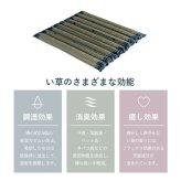 クッション ポコポコシート い草 チェック柄 調湿 空気清浄 お手入れ簡単 約40×40cm