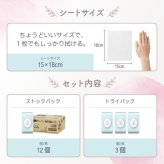 手口ふき 12個セット 90枚 × 12個 セット WT004