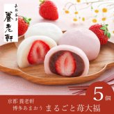 京都 養老軒 博多あまおう まるごと苺大福 5個入(お歳暮 御歳暮 和菓子 お菓子 スイーツ ギフト プレゼント 贈り物 お祝い 内祝い 結婚祝い 結婚内祝い 出産内祝い 手土産 お返し お礼 快気祝い 退職祝い 引越祝い 詰め合わせ 個包装 挨拶 人気 おすすめ)
