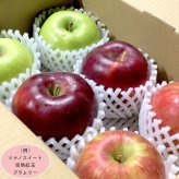 旬の信州りんご3種セット 店長おすすめの2kg（3種×2玉）
