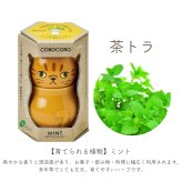 COROCORO cat（コロコロキャット）首をかしげて表情を楽しむ猫型栽培キット バジル ミント ワイルドストロベリー 植物 グリーン スターターセット オブジェ 置物 おしゃれ インテリア 雑貨 ギフト プレゼント 男性 女性 誕生日 ラッピング対応 無料ラッピング