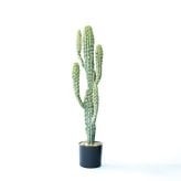 観葉植物 造花 柱サボテン BROWN 全高約71cm 卓上・小型 フェイクグリーン 本物そっくり おしゃれ インテリア 人工観葉植物 アーティフィシャルグリーン オフィス 店舗 ホテル 開店祝い 室内 ミニ サボテン カクタス フェイク