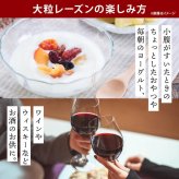 前田家 大粒レーズン ノンオイル カリフォルニア産 300g/500g/700g 無添加 砂糖不使用 種なし ドライフルーツ 干しぶどう レーズン 大粒 製菓材料 おやつ 送料無料 MAEDAYA