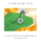 【日本製・鑑別書つき】天然ダイヤモンド 一粒 セカンドピアス ピアス PT900 プラチナ 0.05ct 軸太0.65mm 軸長10mm 金属アレルギー対応 レディース メンズ ダブルロックキャッチ 地金【全品1個ずつバラ売り】 プレゼント