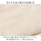 pedag レザーグローブ 通販 レザーケア用品 シューケアグッズ ペダックレザーグローブ 羊毛ムートン 革製品お手入れ 艶出し仕上げ クロス 革靴メンテナンス レザーメンテナンス 革バッグケア 革財布手入れ 仕上げ磨き用 ドイツ製シューケア 靴磨きクロス 本革ケア