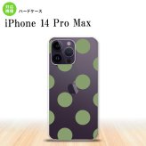 iPhone14 ProMax iPhone14 Pro Max スマホケース 背面ケース ハードケース ドット 水玉 A 緑 2022年 9月発売 nk-i14pm-008