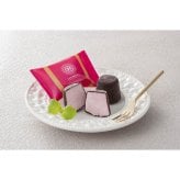 銀座京橋 レ ロジェ エギュスキロール ショコラアイスボール (AH-QSB) [お中元][お歳暮] ※送料無料(北海道・沖縄・離島への配送不可)