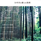 ベッド 寝具 畳 ヒノキ 日本製 シングル セミダブル ダブル コンセント付き 棚付き ひのき イ草 桧 檜 本畳 低ホルムアルデヒド 高さ調節 国産 天然イ草