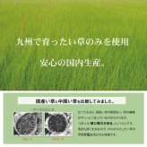 キッズ家具 子供用 日本製 い草 い草マット お昼寝 シンプル 星柄 約70×120cm