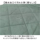 エプロン レディース 通販 タブリエ ポケット付き おしゃれ サイドボタン 撥水 はっ水 作業 キッチン かわいい カジュアル 暖かい 防寒 シンプル ワーク ゆったり リラックス 着脱簡単 秋冬 大人 ロング ガーデニング アウトドア