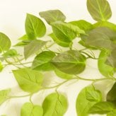 観葉植物 造花 ポトス BROWN 全高約80cm フェイクグリーン 高級 本物そっくり リアル おしゃれ 卓上 インテリア 人工観葉植物 アーティフィシャルグリーン 垂れ下がる つる オフィス 店舗 開店祝い 室内 リビング 玄関 トイレ 風水 フェイク