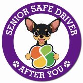 カーサイン 高齢者マーク SENIOR SAFE DRIVER スムースコートチワワ マグネット 強力 直径13cm 肉球 日本製 車 ステッカー