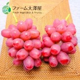 長野県産 シャインマスカット ナガノパープル クイーンルージュ 各2房 【6房】 ｜ 1房約450-500g ｜ ぶどう 国産フルーツ 贈答用 ギフト プレゼント