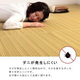 ラグ カーペット 洗える ダイニング 敷詰 丈夫 日本製 国産 除菌スプレー対応 ござ アウトドア ペット 江戸間4.5畳（約261×261cm）