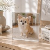 チワワ ガラスブロック 愛犬 柴犬 うちの子記念日 記念品 うちの子 メモリアル 記念 肉球 おしゃれ ペットグッズ 名入れ 小型犬 プレゼント オリジナル メモリアルプレート ギフト 写真入り 虹の橋 写真 高級 ペットメモリアル フォトキューブ 写真立て 記念日 ペットロス ペット 贈り物 ポメラニアン 感謝 ディスプレイ 愛犬家 オーダーメイド 置き物 メモリアルフォトフレーム 犬【c01】