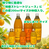 3種類の柑橘ストレートジュース（みかん・せとか・河内晩柑）200ml ギフト箱 愛媛県産【贅沢な果汁100％】送料無料